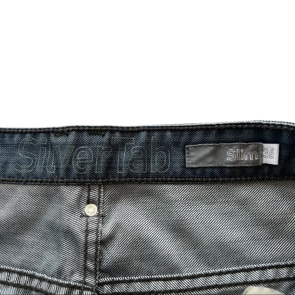 Levis levis mens